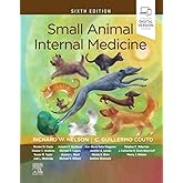 Small Animal Internal Medicine
