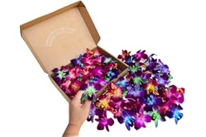 Miami Fresh Orchid Loose Bloom PERISHABLE flowers OrchidClub USA Sunne Tropical DIY lei, food & drink decoration (100 RAINBOW)