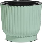 T4U Mini Self Watering Plant Pots Indoor 6 Pack 10cm Green Plastic Pots view 4