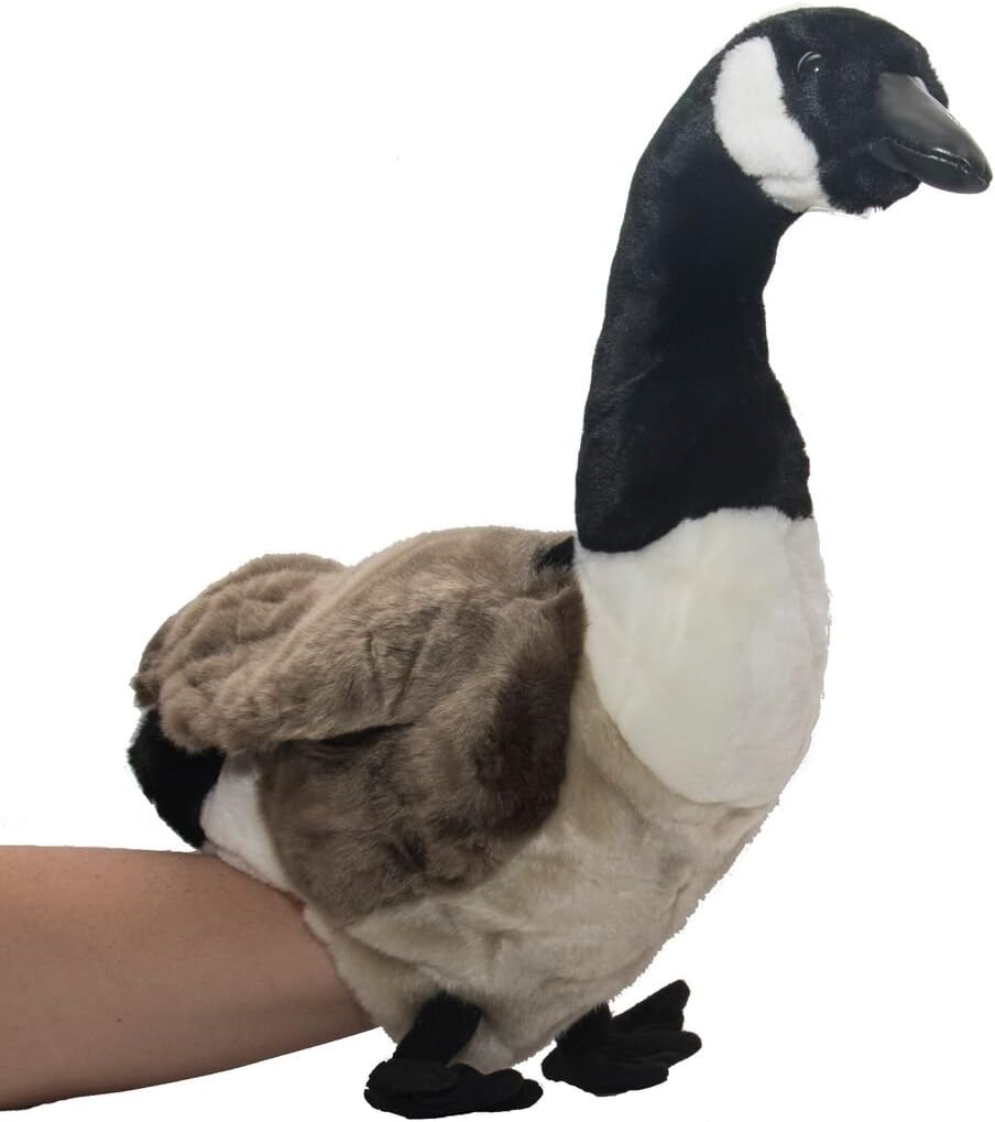 canada goose ipo presentation