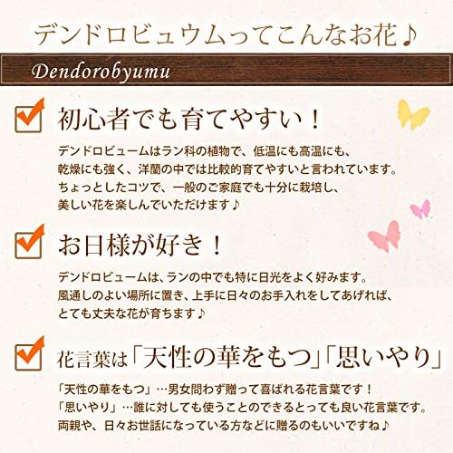 Images Na Ssl Images Amazon Com Images I 61oppj