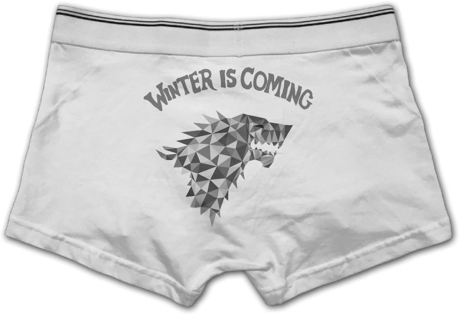 I83 Men's Stretch Underwear Boxer Brief Game of Thrones-Winter is Coming