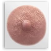 TataTattoos Temporary Realistic Nipple/Areola Tattoos &ndash; Non-Surgical for Mastectomy Recovery &ndash; for Post Breast Cancer Surgery (Auburn, Large (Pack of 2))