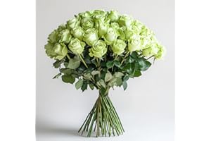 GlobalRose 50 Green Roses - Fresh Flowers- Beautiful Bright Blooms for Birthday