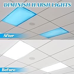 Patelai 4 x 2 Feet Fluorescent Light Cover for