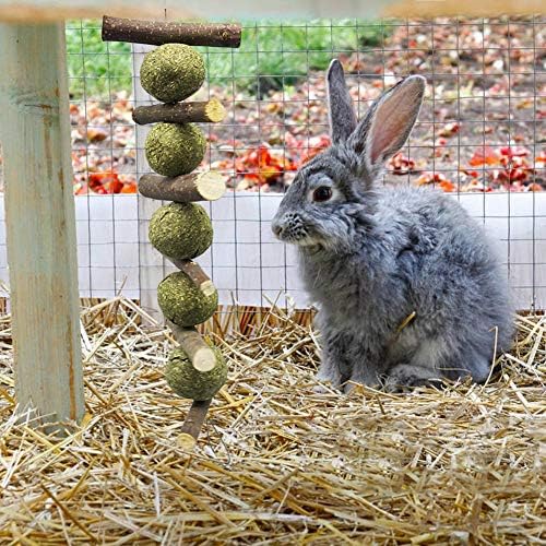 噛む玩具 噛むおもちゃ 天然草 小動物噛むボール ペット用品 運動不足 ストレス解消 ウサギ 小型ペット 安全 耐久性 ストレス発散 歯磨き B07y1t9f59 454円 大人気 New Arrival 最安値挑戦 年中無休 高品質 通販