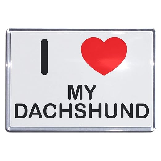 I Love My Dachshund - Gran imán de nevera de plástico: Amazon.es ...