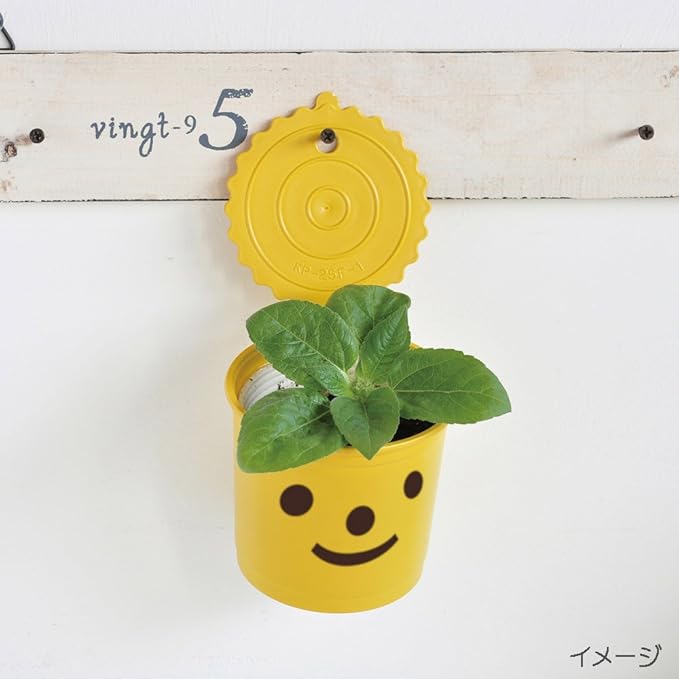 Kit de cultivo smile & smile. Para que los niños se sientan ...