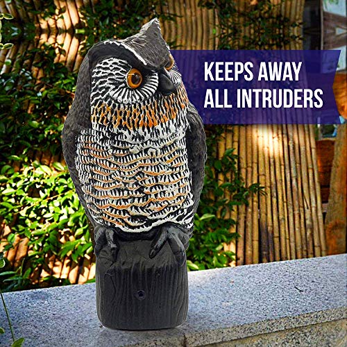 Lijo Solar Owl Animal Scarecrow Motion Activated Owl Decoy with Light
