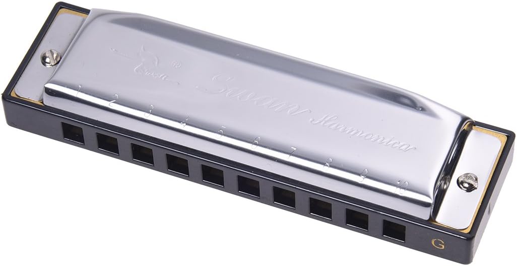SODIAL(R) Armonica a Bocca 10 Fori G Chiave Argento Professionale New