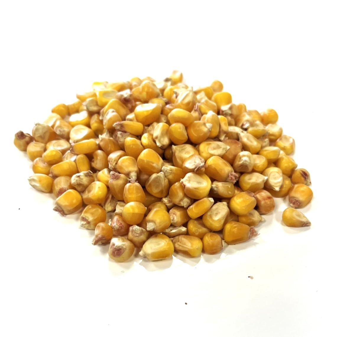 Whole Roundberry Maize 1Kg Animal Feed and Fishing Bait LJJ