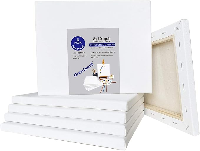 Genixart 8x10 Inch Prestretched Canvas for Painting, Super