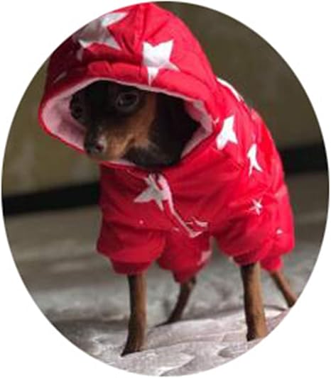 chihuahua clothes amazon
