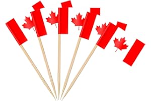 AhfuLife Flag Toothpick Flag Picks, 100/200 Pcs Small Tiny Cupcake Toppers Stick Flags Double-Sided for World Cup, National D