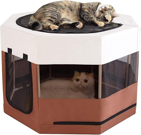 cat play pens