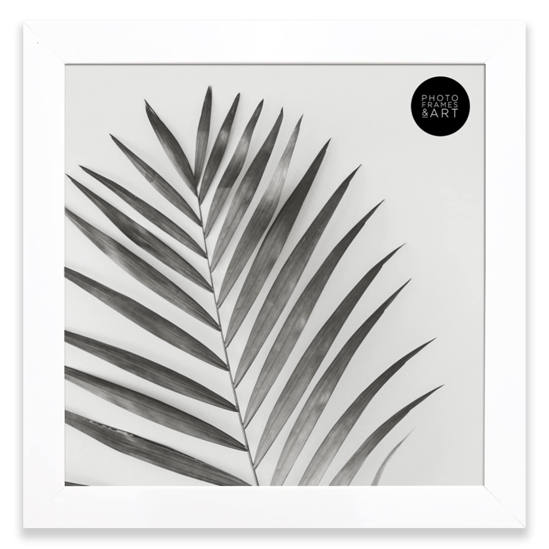 8x8/20x20cm GLASS WINDOW - Square White Oxford Matt Small Photo Frame. Stand & Wall Hanging. Made In The UK (Width Of Frame 2cm)