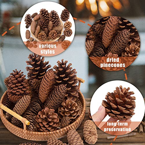 JOHOUSE 50PCS Natural Pinecone Ornaments, Pine Cones Bulk Natural Pinecones Assortment for Fall Winter Christmas Bowl Fillers