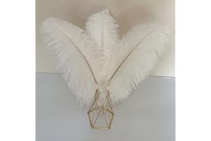 10pcs Large Ostrich Feathers 16-18 inch 40-45 cm Fluffy Feather for Crafts Home Party Decoration Wedding Centerpieces Clothes