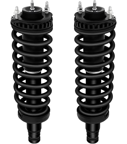 Rear Shocks Absorbers For Chevy Trailblazer For GMC Envoy SSR Rainier