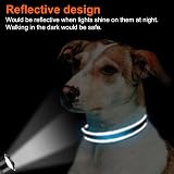 Joytale Reflective Dog Collar Neoprene Padded Nylon Small Skyblue S view 5