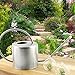 Darware Stainless Steel Watering Can — 1.3 Quart / 44oz / 1300 ml Capacity Brushed SS Watering Pot, Long Spout & Elegant Curved Handle