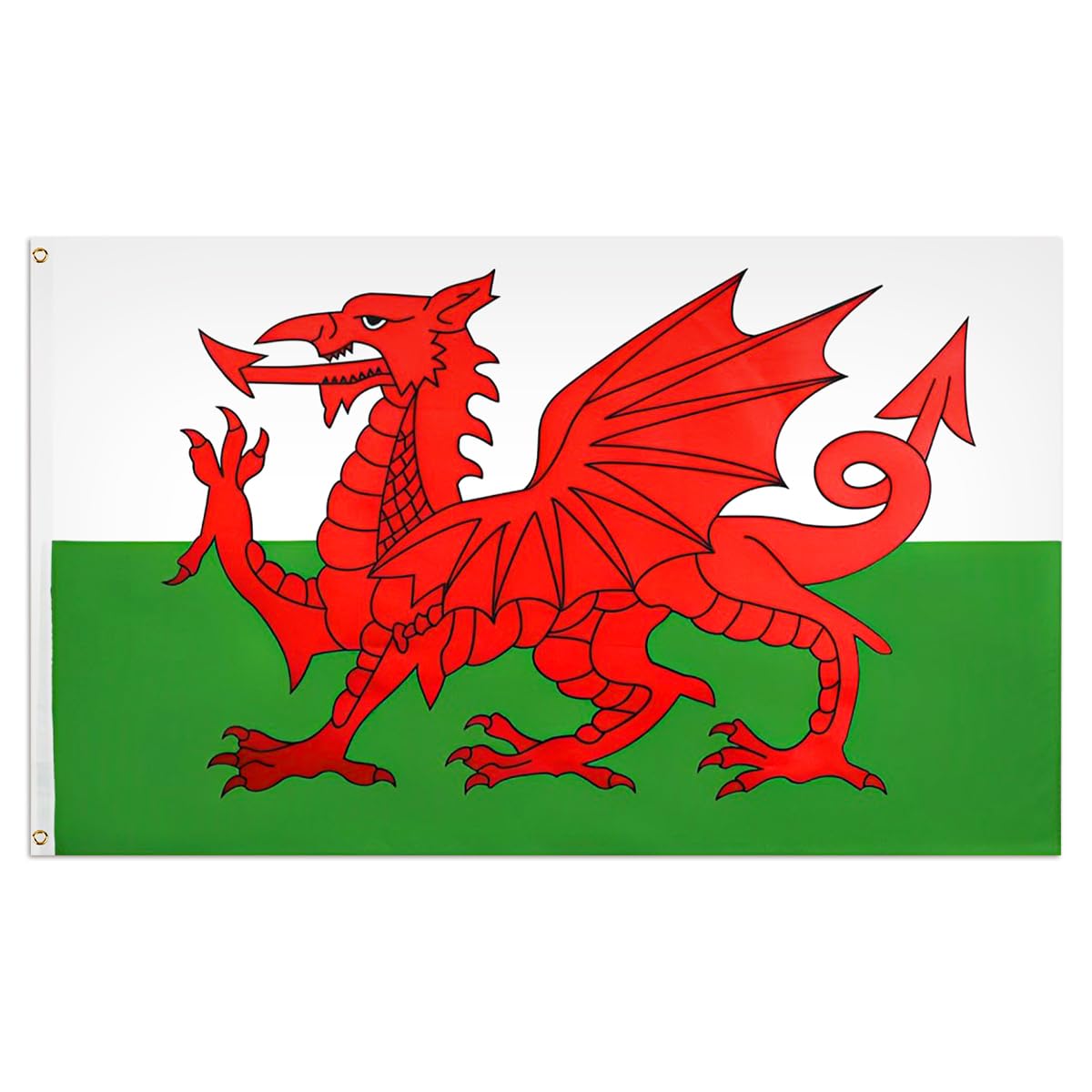 Lotsdonxia Wales National Flag 90x150cm - Large Double-Sided Welsh Flag for Indoor and Outdoor Decoration, Bright & Durable Banner for Celebrations and National Events