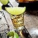 Challenge Accepted - Funny Shot Glass - Makes a Great Gift for Men and Women, Drinking Buddies Hilarious Shot Glass