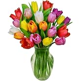 From You Flowers Rainbow Tulip Bouquet 20 Stems in Glass Vase - Fresh Cut Tulips Delivered for Birthday, Anniversary &amp; Spring Gifts
