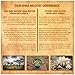 Shea Terra Organics Shea Nilotik’ Oil Scented With South African Lavender | Natural Daily Skin Moisturizer & Conditioner - 8 oz