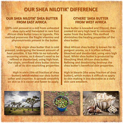 Shea Terra Organics 100% Organic Cold Pressed Virgin Shea Butter Scented with Pumpkin Seed Essential Oil and Natural… - Image 6