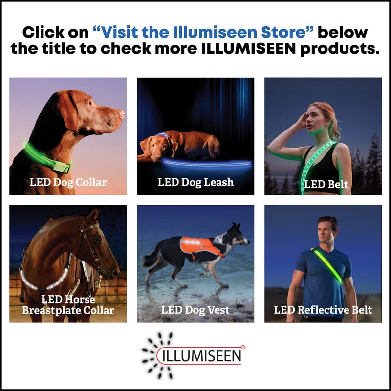 Illumiseen LED Light Up Dog Leash Ultra High Visibility Up to 350