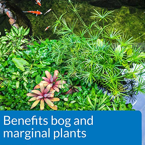 API PONDCARE AQUATIC PLANT FOOD TABLETS Potted Plant Fertilizer 3.8