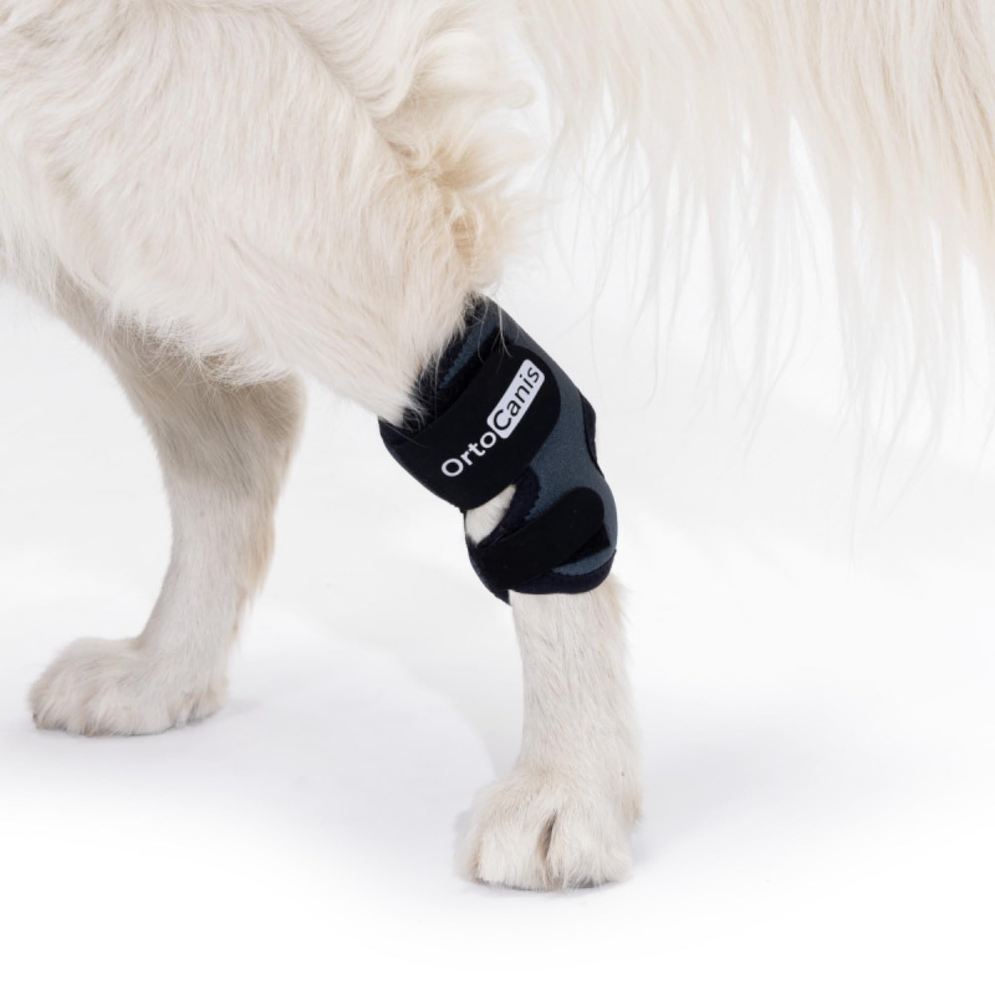 Ortocanis - Tarsal Support for Dog - Ankle Brace for Arthritis, Tarsal and Ligament Injuries, Osteoarthritis, Tendon Inflammations - Made of ARD Neoprene - Size: L 16,5-17,5 cm - 13.5-15.5 cm