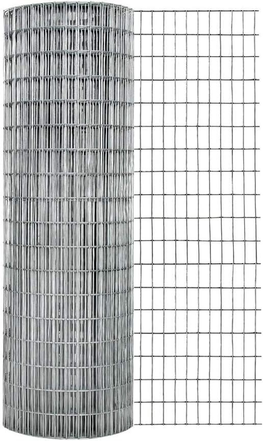 Best Raised Garden Bed 2 X 4 Tomato Cages