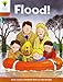 Oxford Reading Tree: Level 8: More Stories: Flood!