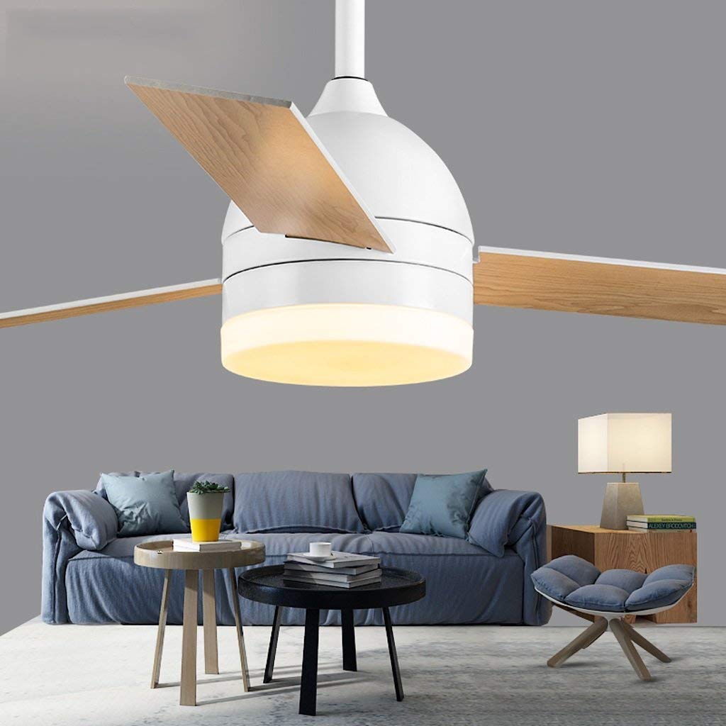 Amazon Com Dee Lights Living Room Ceiling Lights The Light