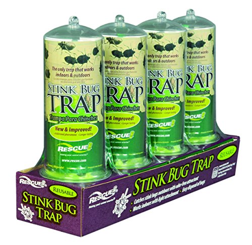 Rescue - SBTR-SF4 Reusable Non-Toxic Stink Bug Trap (4 DISPLAY TRAY)