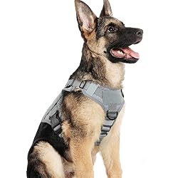 rabbitgoo Tactical Dog Harness for Large, Heavy