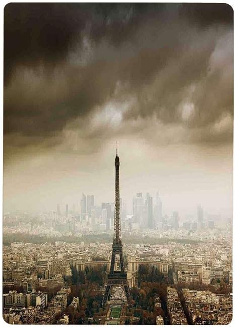 Amazon Co Jp 壁紙 絵画風ポスター はがせるシール式 エッフェル塔の装飾 パリのスカイライン曇り都市景観シルエット嵐のヨーロッパの鳥瞰図現実的 ブラウンベージュ60x100cm 景色 森林と小道 森林浴 新緑 散歩道 目の保養 癒し 気分転換 建築用壁紙 耐候性塗料