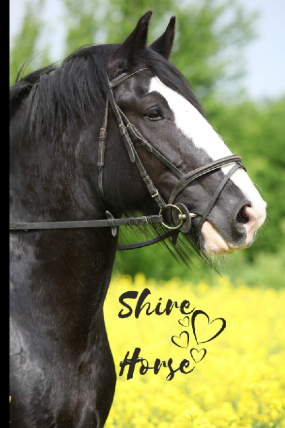 Shire Horse Notebook For Horse Lovers: Composition Notebook 6x9" Blank Lined Journal