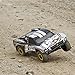 Team Losi XXX-SCT Brushless RTR AVC 2WD SC Truck (1/10 Scale)