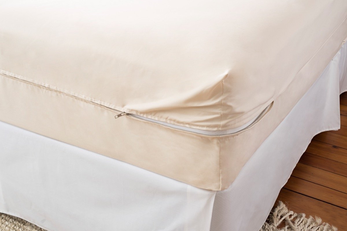 Magnolia Organics Barrier Cloth Mattress Protector - Queen, Natural