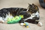 Petface Peas In a Pod Interactive Plush Cat Toy Catnip Filled view 6