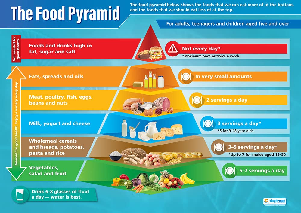 Daydream Education Food Pyramid | Science Posters | Laminated Gloss Paper measuring 850mm x 594mm (A1) | Science Charts for the Classroom | Education Charts