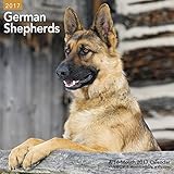German Shepherds Wall Calendar (2017)