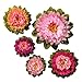 Luna Bazaar Large Tissue Paper Flowers (Multiple Sizes, Signature Pinks, Set of 5)