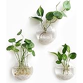 Mkono Wall Hanging Planter Propagation Station Glass Flower Vase for Hydroponics Plants, Bathroom, Home Office Living Room Decor Gift, Oblate Set of 3