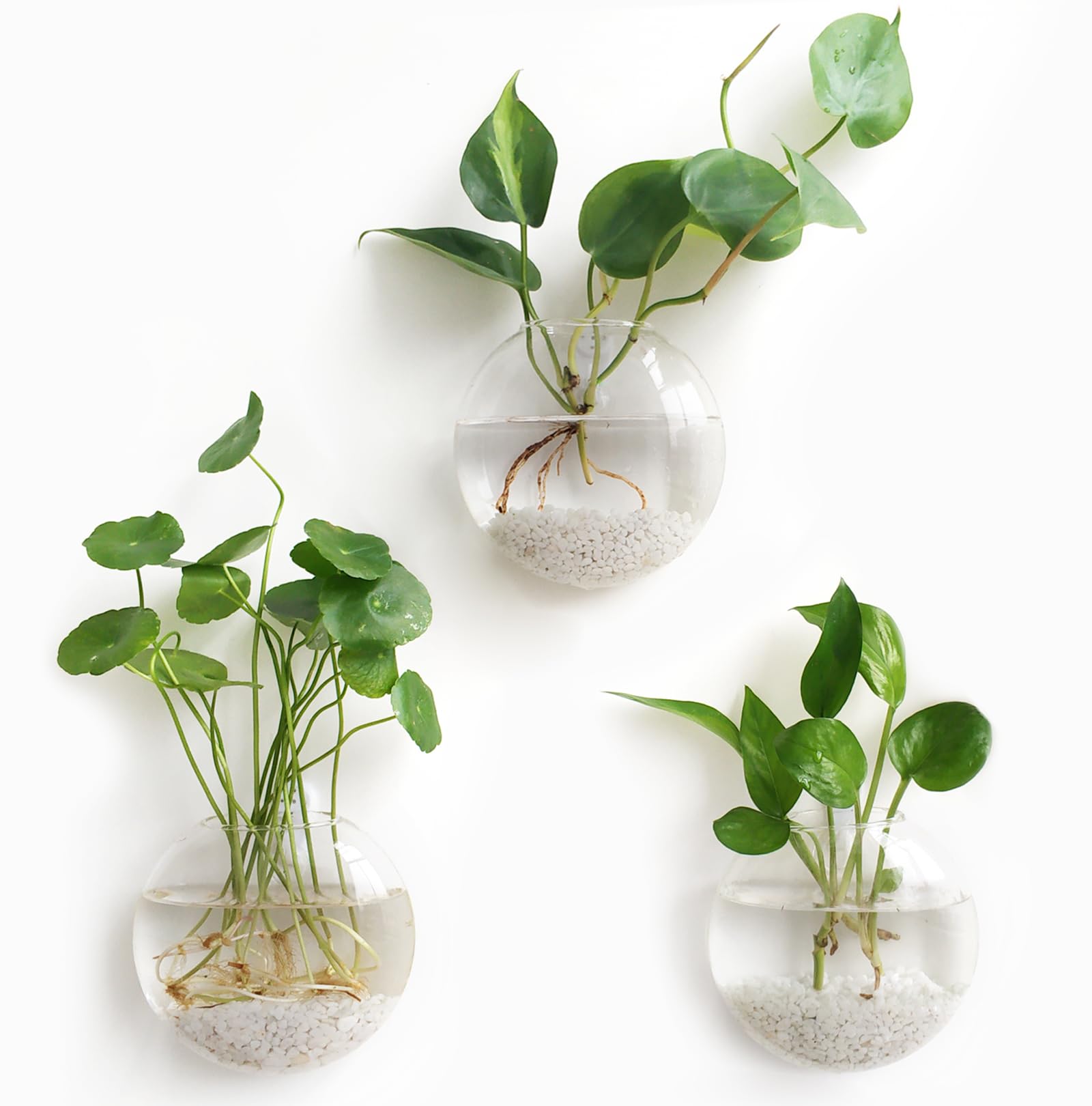Photo 1 of Mkono Wall Hanging Planter Propagation Station Glass Flower Vase for Hydroponics Plants, Bathroom, Home Office Living Room Decor Gift, Oblate Set of 3