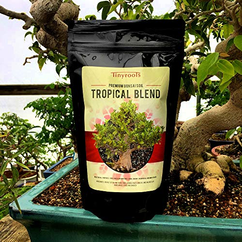 Tropical Bonsai Tree Soil Blend Two Quarts From Tinyroots. 100% Organic. For Ficus, Fukien Tea, Butt - //coolthings.us