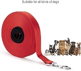 Vivifying Dog Training Lead 32FT 10m Nylon Leash Red with Padded Handle view 5